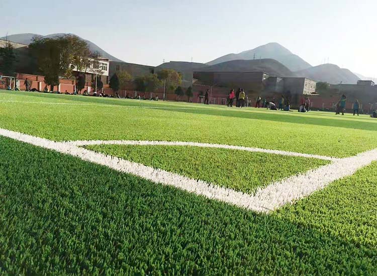 免填充的足球場(chǎng)草坪